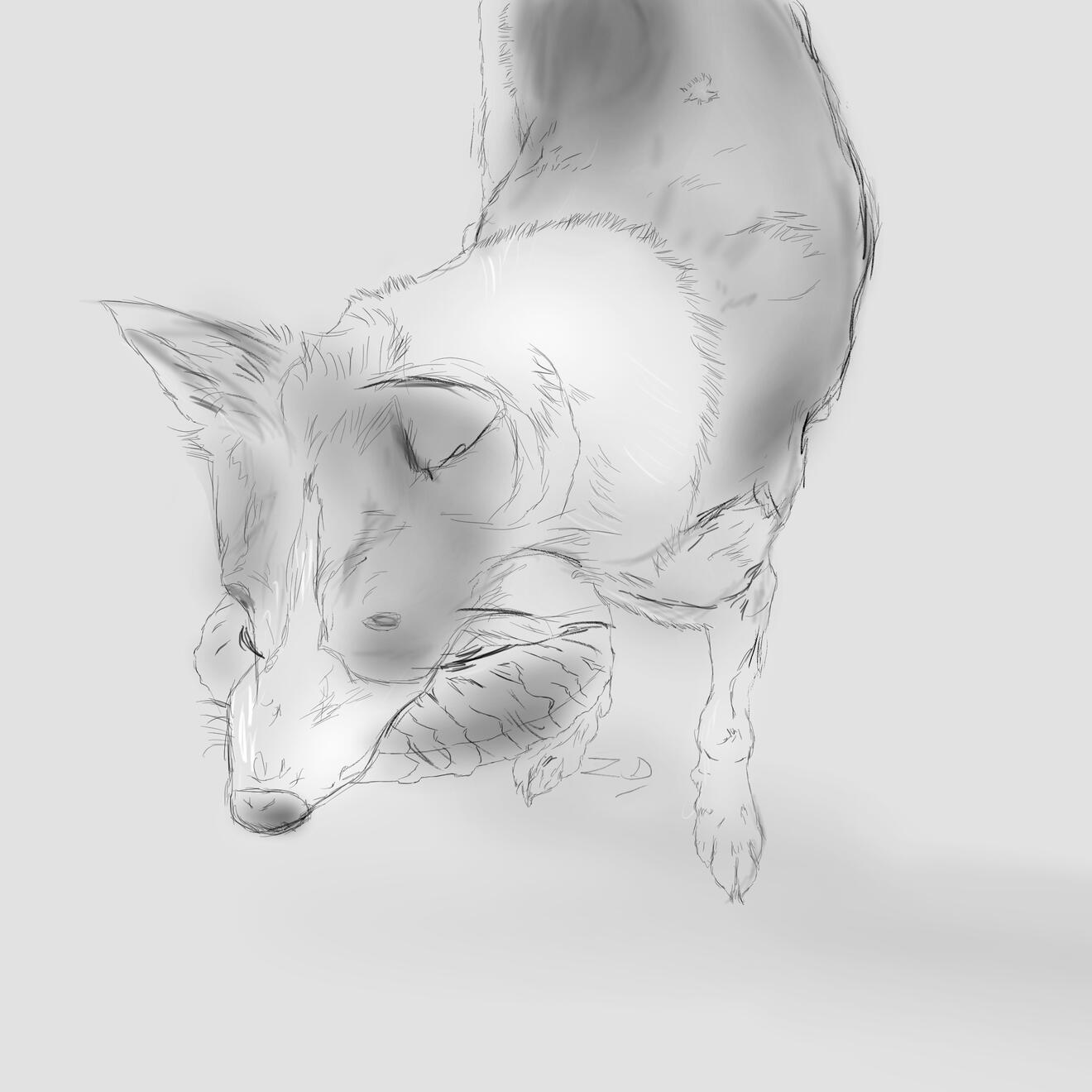 Lucy - sketch portrait