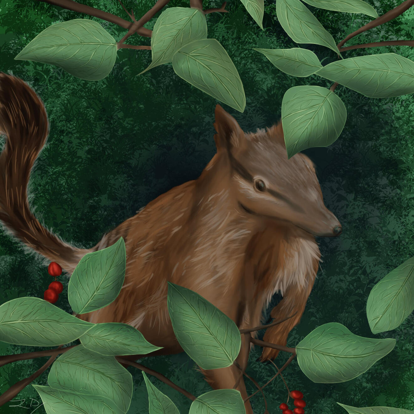 Numbat Portrait (Endangered)