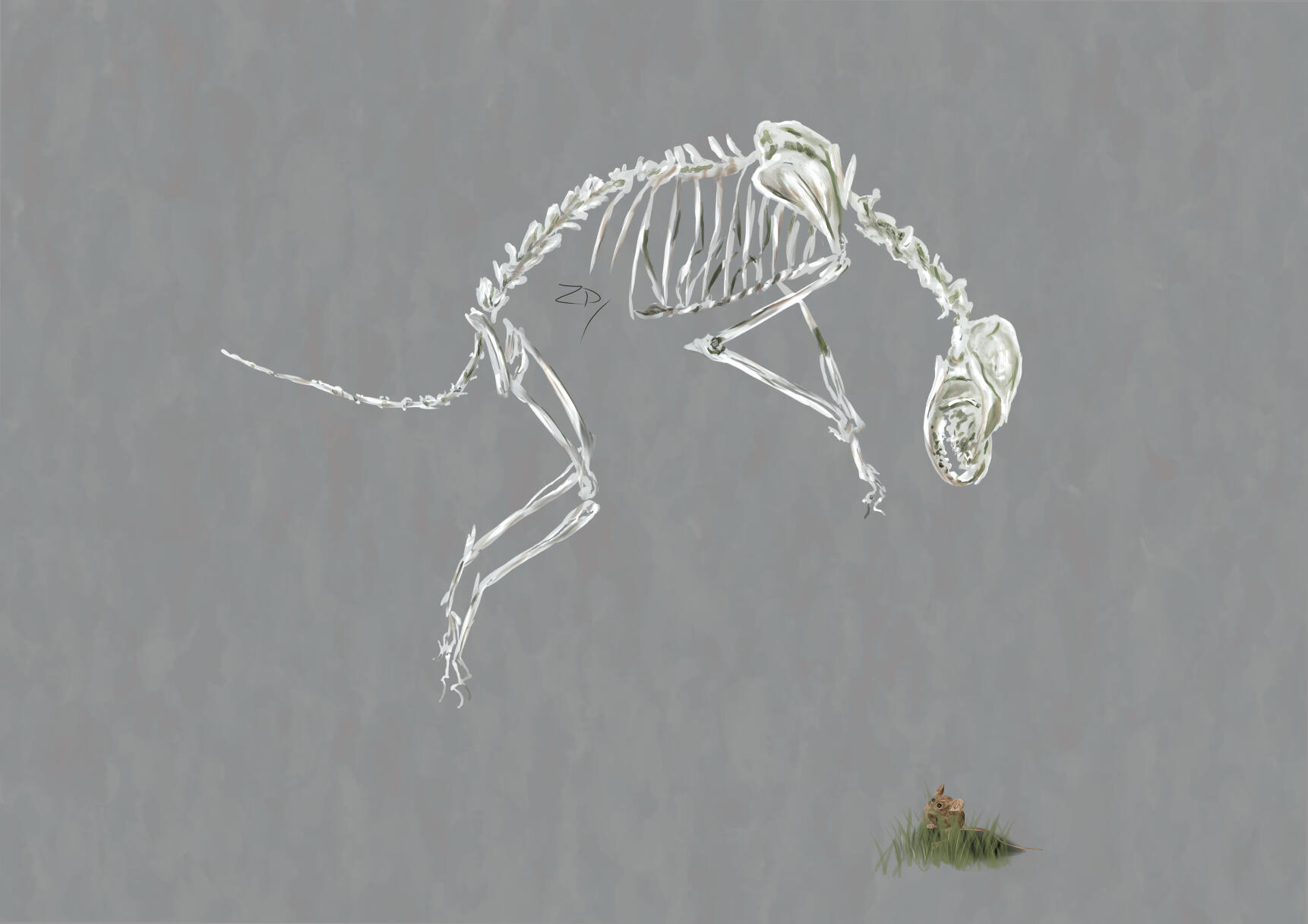 Fox & Mouse (personal work)