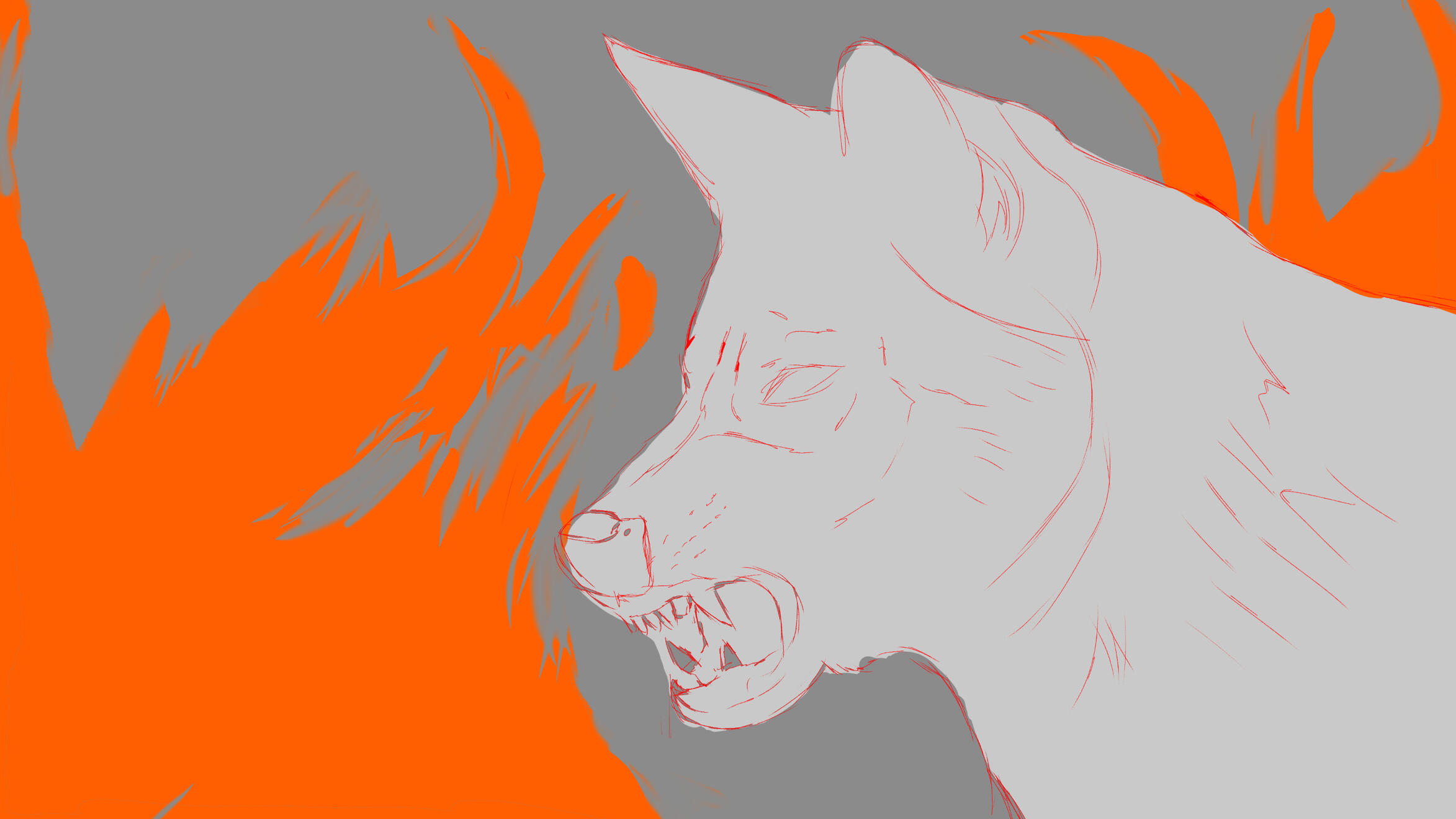 Unfinished Wolf Sketch