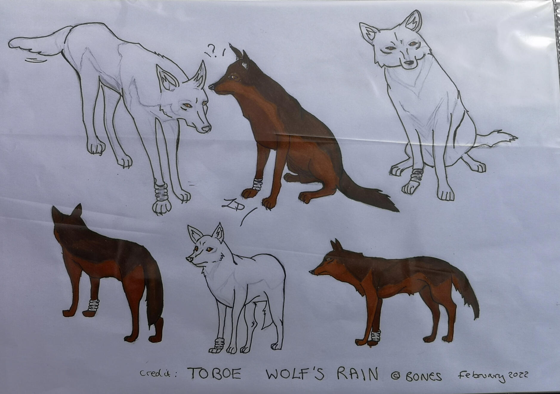 Toboe - Wolf&#39;s Rain Breakdown Study