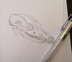 Fox Skull Quick Study